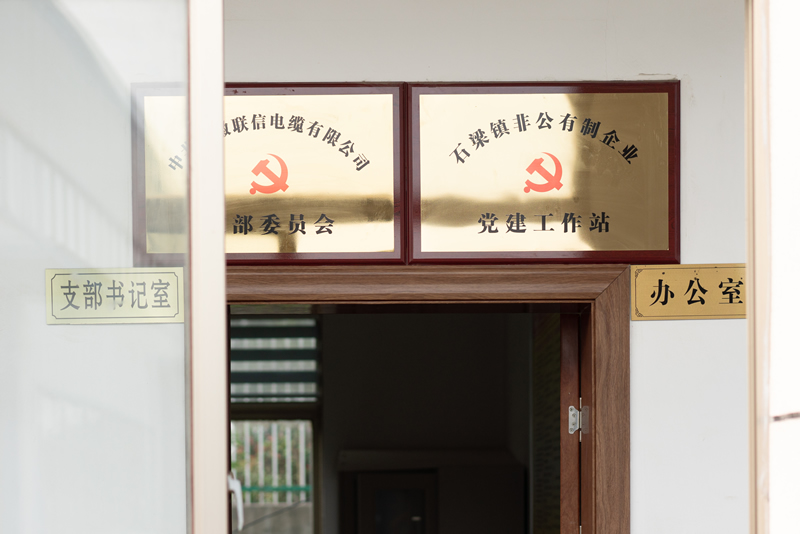 党建风采
